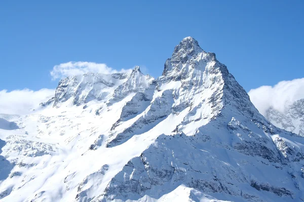 Mountain top — Stock Photo, Image