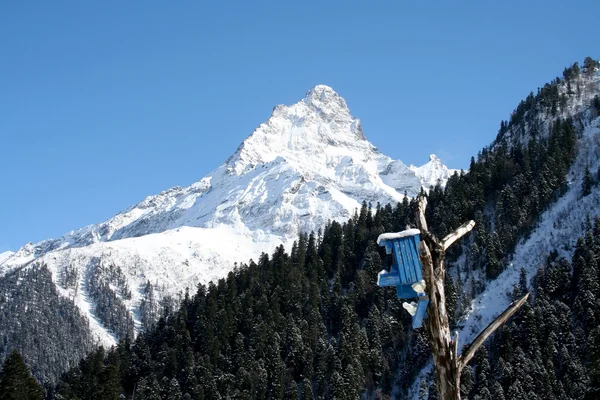 Boîtier de nidification — Photo