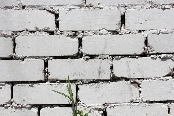 Bricklaying — Stock Photo, Image