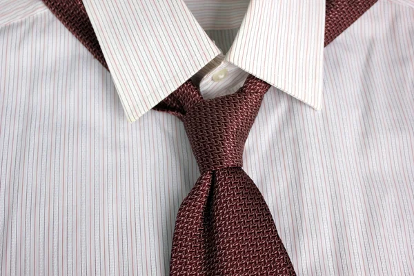 The Tie — Stock Photo, Image