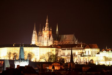 Cathedral st. vit