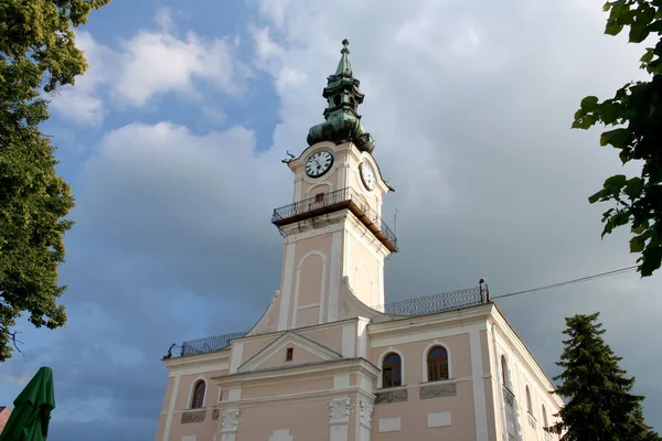 Domkyrkans torn med timmar — Stockfoto