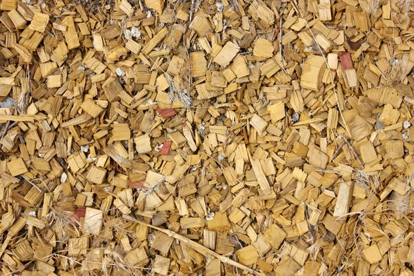 木製のシェービング — ストック写真