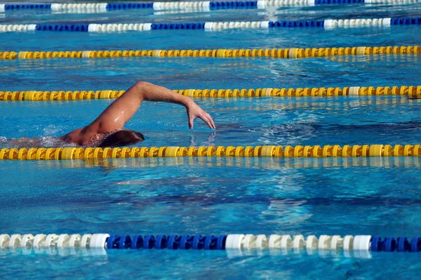 Nageur dans la piscine — Photo