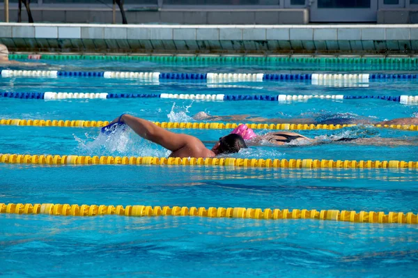 Nadador na piscina — Fotografia de Stock