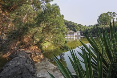 Yoğun ağaçlar ve uzaktan ev arasında tropikal Körfezi