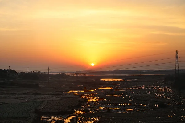 Hermoso amanecer naranja del sol y a la sombra del campo de arroz . — Foto de Stock