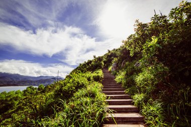 Dağın tepesine adımlar. Tropik bitkiler etrafında.