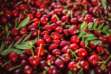 Kırmızı Olgun baştan çıkarıcı kiraz yaprakları ile lots