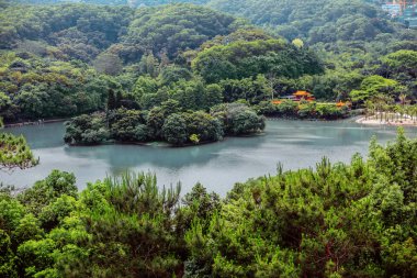 Yoğun ağaçlar ve uzaktan ev arasında tropikal Körfezi