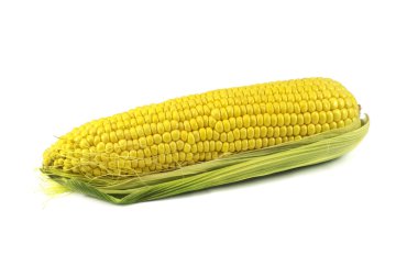 taze sarı mısır koçanı üzerinde beyaz izole