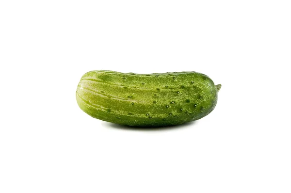 Pepino verde fresco aislado sobre fondo blanco — Foto de Stock