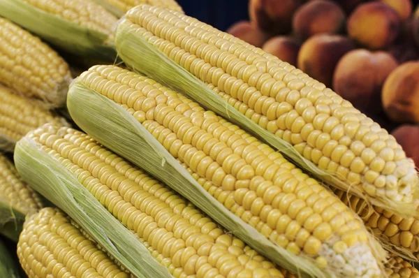 Close-up of fresh corn cobs and peaches piles — Stock Photo, Image