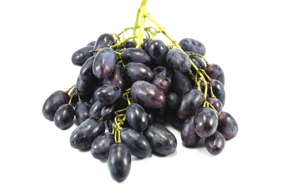Виноградная лоза фиолетовый виноград изолирован над белым — стоковое фото