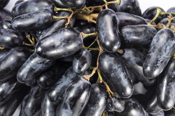 Close-up of vine of purple grapes — Stock Photo, Image