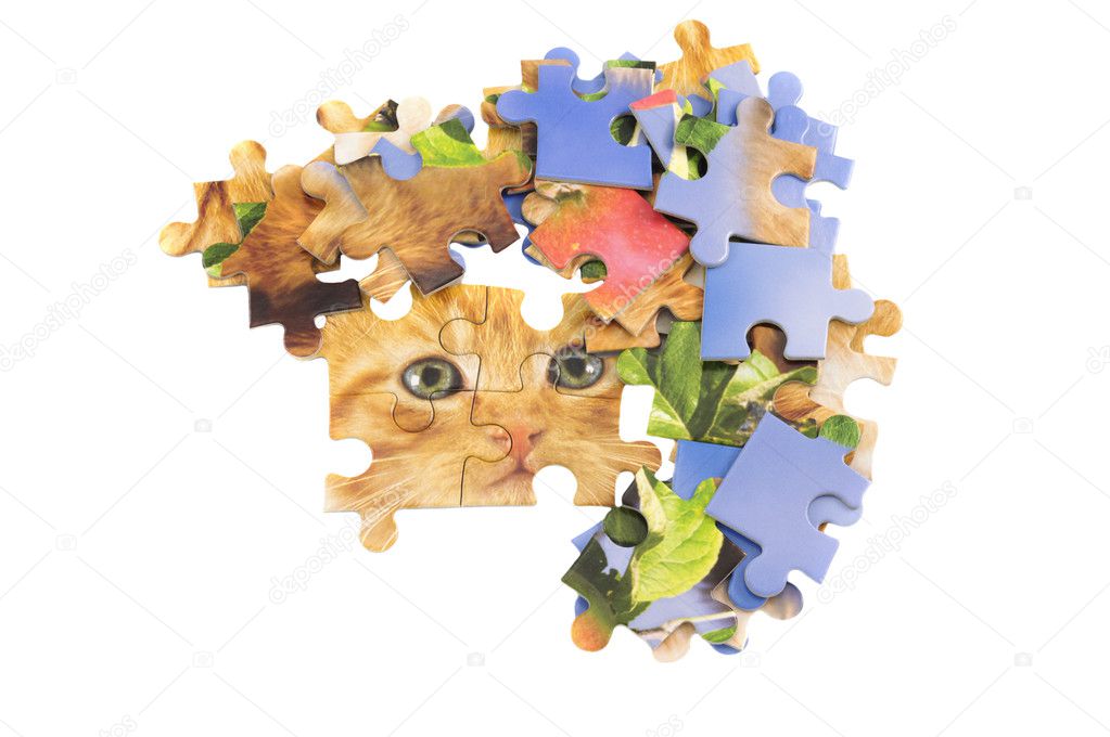 cat jigsaw puzzle pieces isolated over white