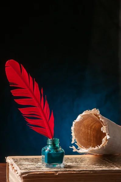 Перо и лист папируса — стоковое фото