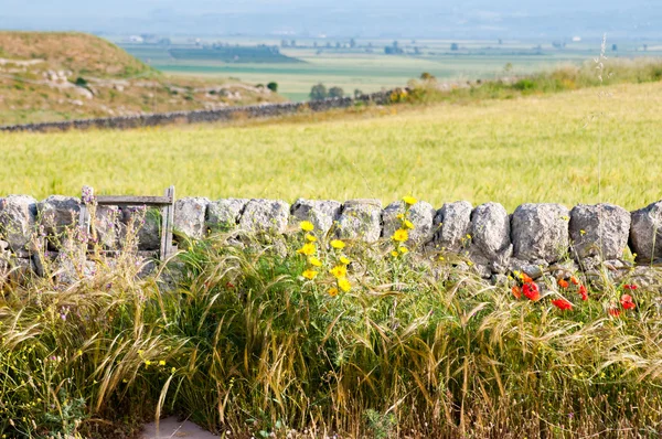 Landscapes of Sicily — Stock Photo, Image