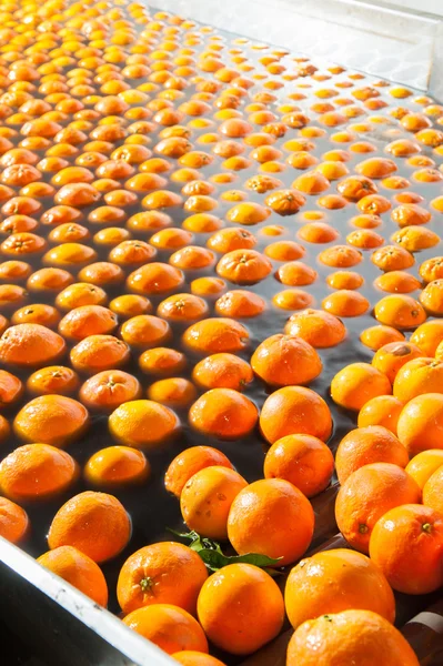 The working of orange fruits