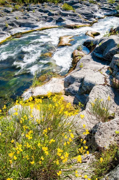 Alcantara river reserve — Stock Photo, Image