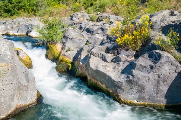 Alcantara river reserve — Stock Photo, Image