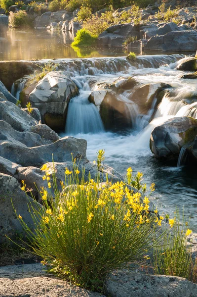 Alcantara river reserve — Stock Photo, Image