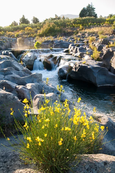 Alcantara river reserve — Stock Photo, Image