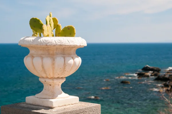 Ornamental flowered vase — Stock Photo, Image