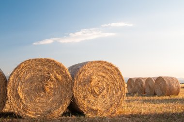 Yuvarlak saman balyalar