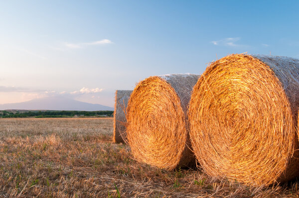 Round straw bales