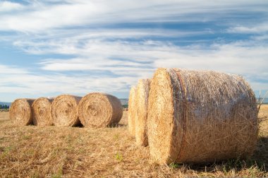 Yuvarlak saman balyalar