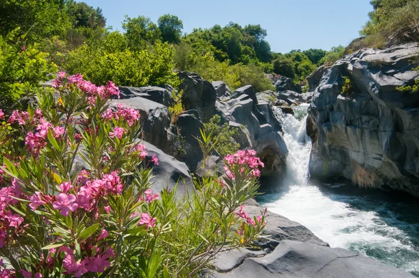 Alcantara river reserve — Stock Photo, Image