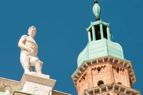 Vicenza main sculptures — Stock Photo, Image
