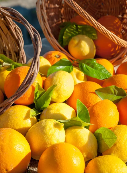 Naranjas y limones — Foto de Stock