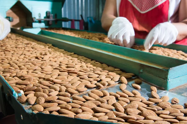 The working of almonds — Stock Photo, Image