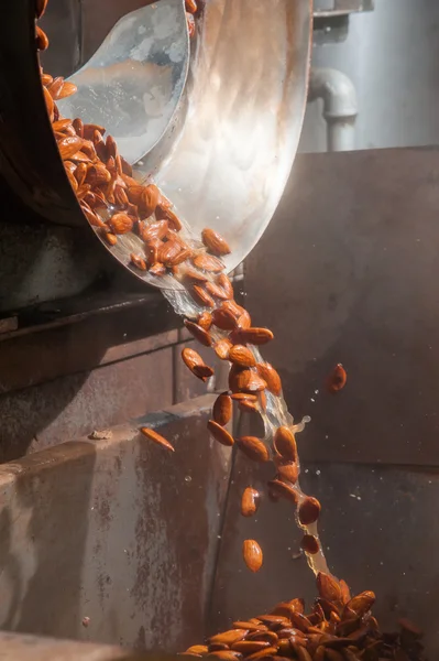 Badem çalışma