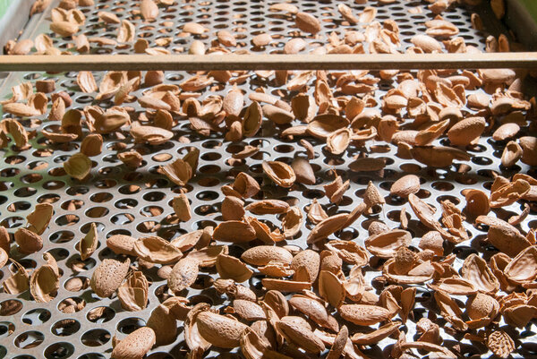 The working of almonds