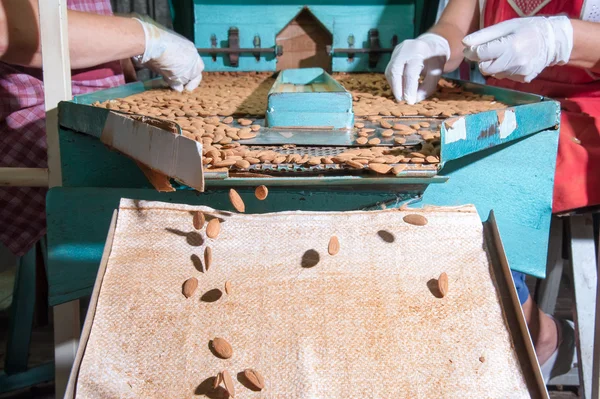 The working of almonds — Stock Photo, Image