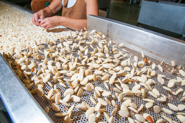 The working of almonds