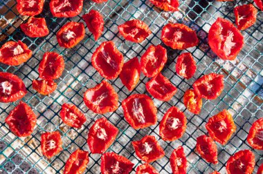 Güneş kurutma işlemi için domatesleri ağlarla kes