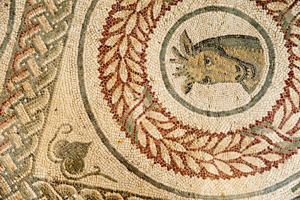 Romerska mosaiker — Stockfoto