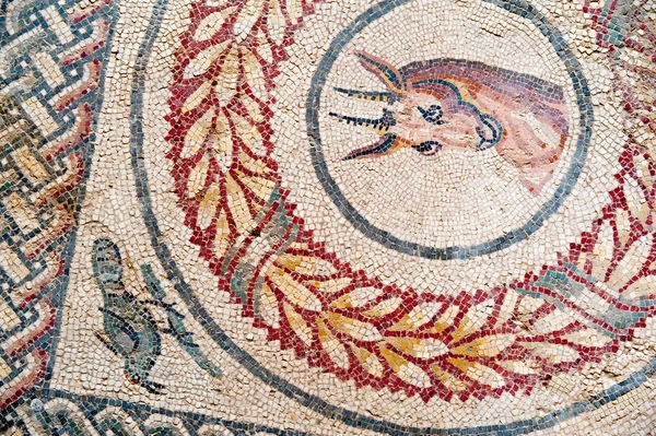 Roman mosaics — Stock Photo, Image