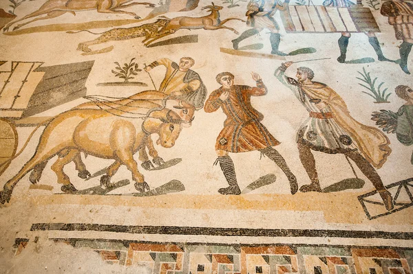 Roman mosaics — Stock Photo, Image