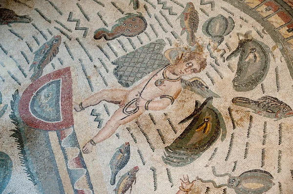 Roman mosaics — Stock Photo, Image