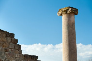 Eski Roma sütunları