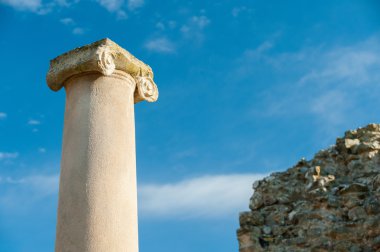 Eski Roma sütunları