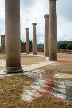 Eski Roma sütunları