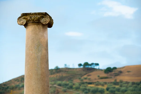 Old roman columns — Stock Photo, Image