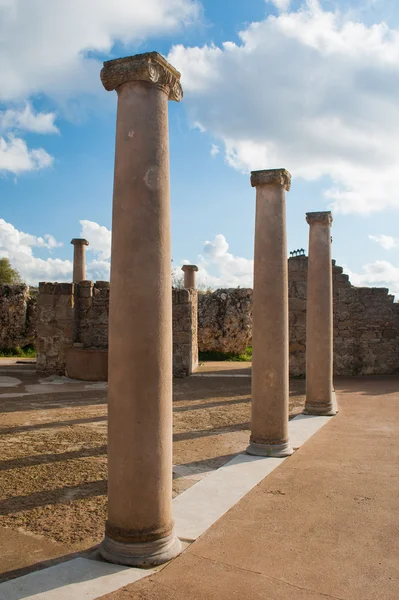 Eski Roma sütunları