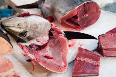 Catania Balık pazarı